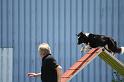 Bild 482
